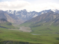 In Denali NP